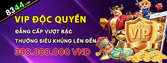 28bet